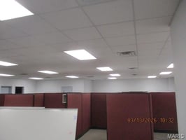 31156781