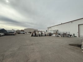 31157406