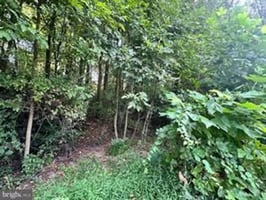 31157735