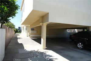 32301493