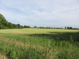 34447872