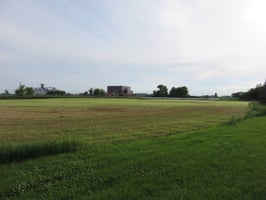 34447874