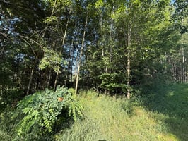 31164425