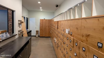 31553029