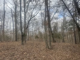 31176490