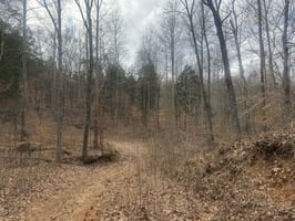 31176478