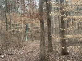 31176477
