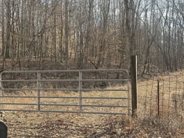 31176468