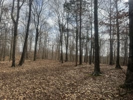31176482