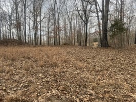 31176484