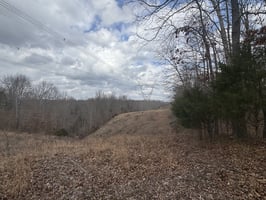 31176486