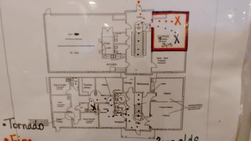 31347454