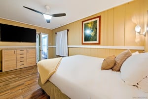 31210118