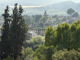 31421039