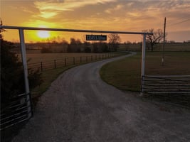 31238730