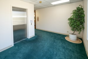 31220624