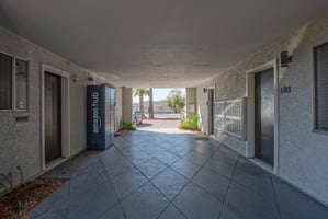 31229324