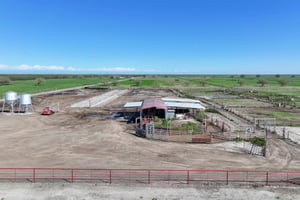 31230617