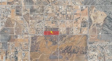 31465348