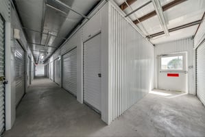 31246787