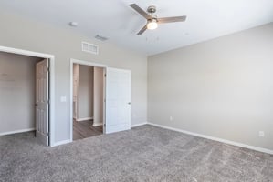 31247826
