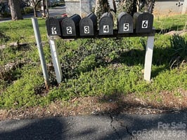 31249826