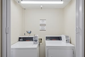 31250567
