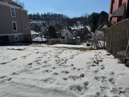 31251491
