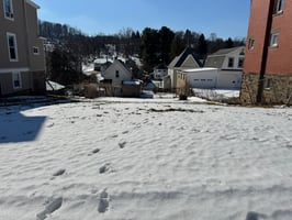 31251495