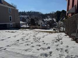 31251492