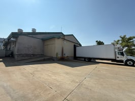 31251310