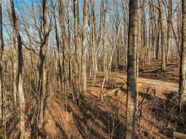 31394904