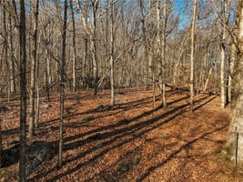 31395208