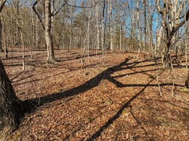 31393494