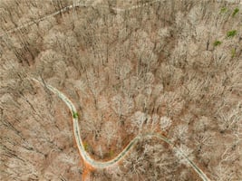 31393790