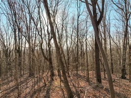 31394015