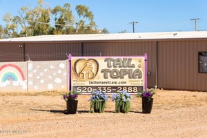 31252670
