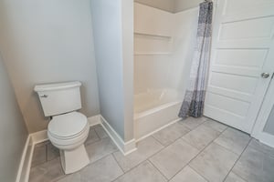 31260591