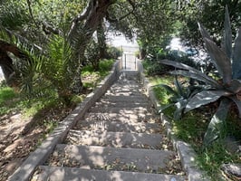 31262920