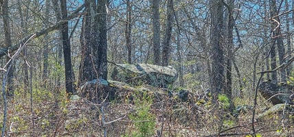 31263330