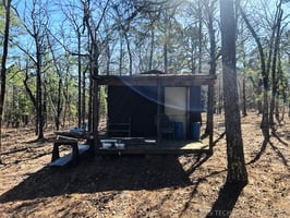 31263644
