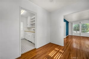 33716534
