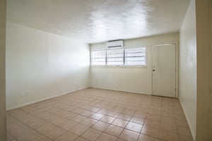 31343529