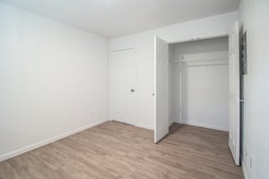 31343506
