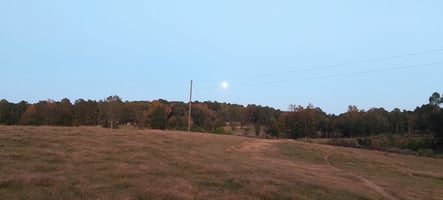 31277444