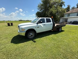 31291376