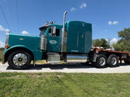 31291379
