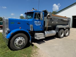 31291364