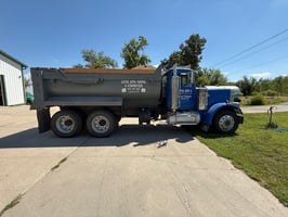 31291365