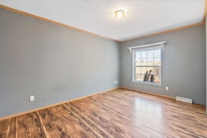 31293802